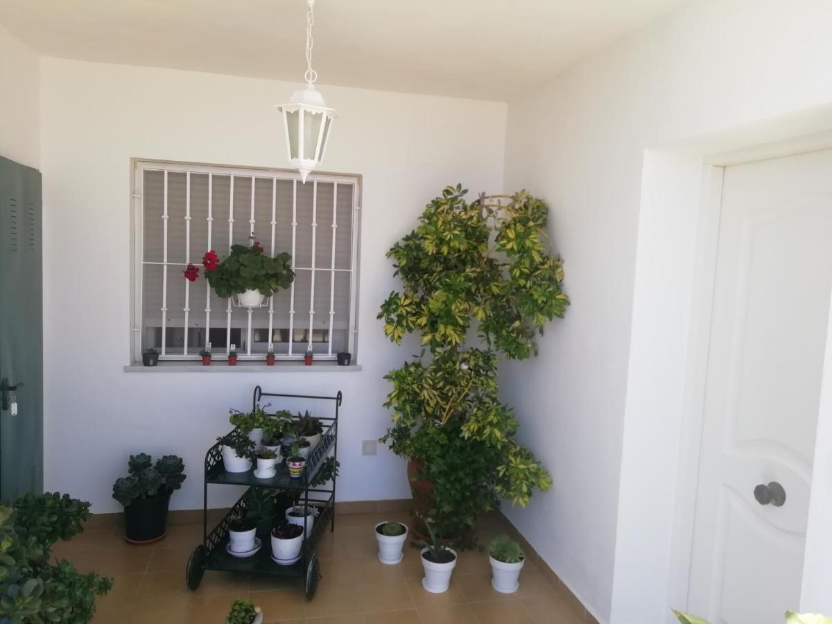 Las Gemelas De Terreros 1 San Juan de los Terreros 外观 照片