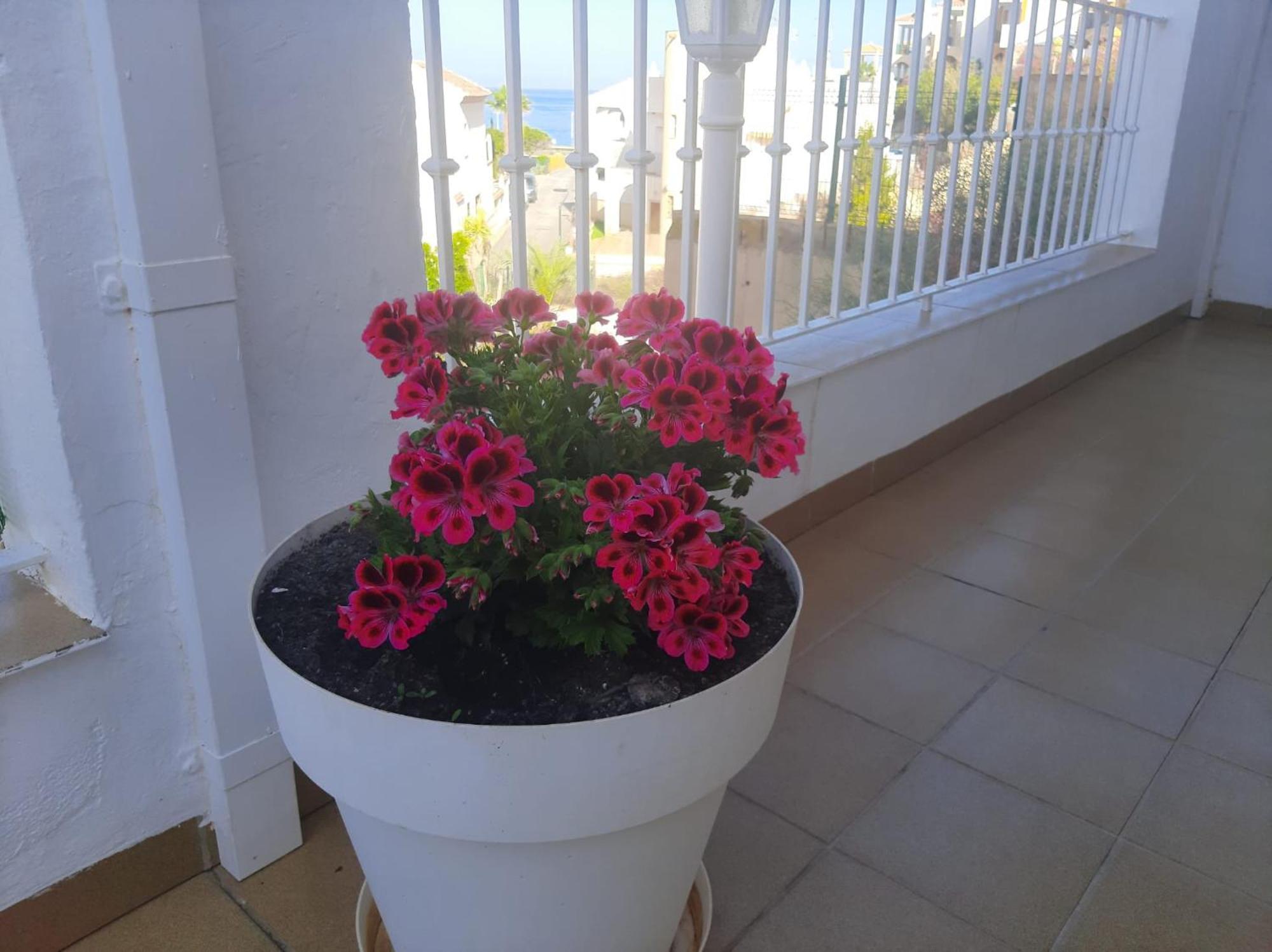 Las Gemelas De Terreros 1 San Juan de los Terreros 外观 照片