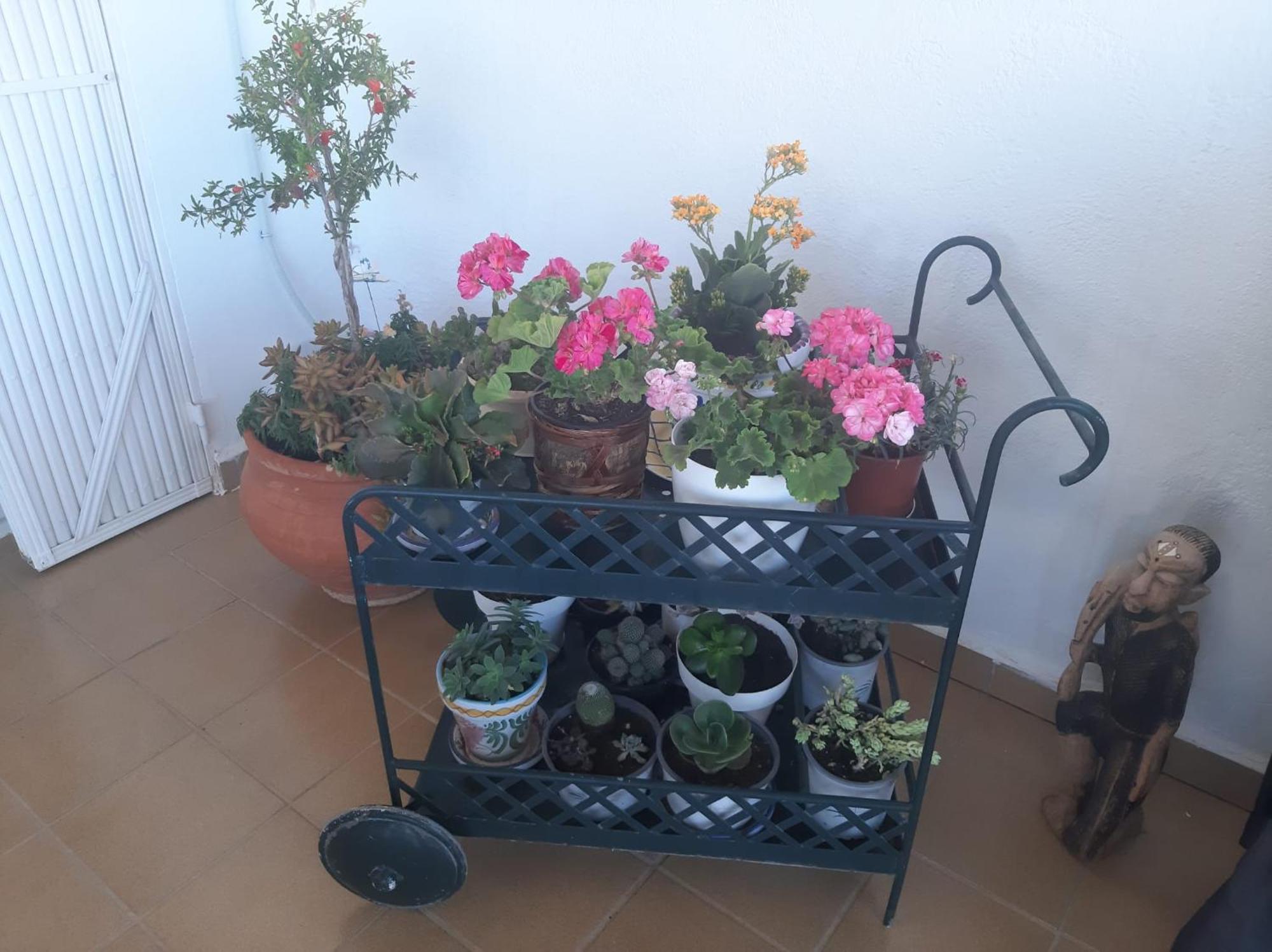 Las Gemelas De Terreros 1 San Juan de los Terreros 外观 照片