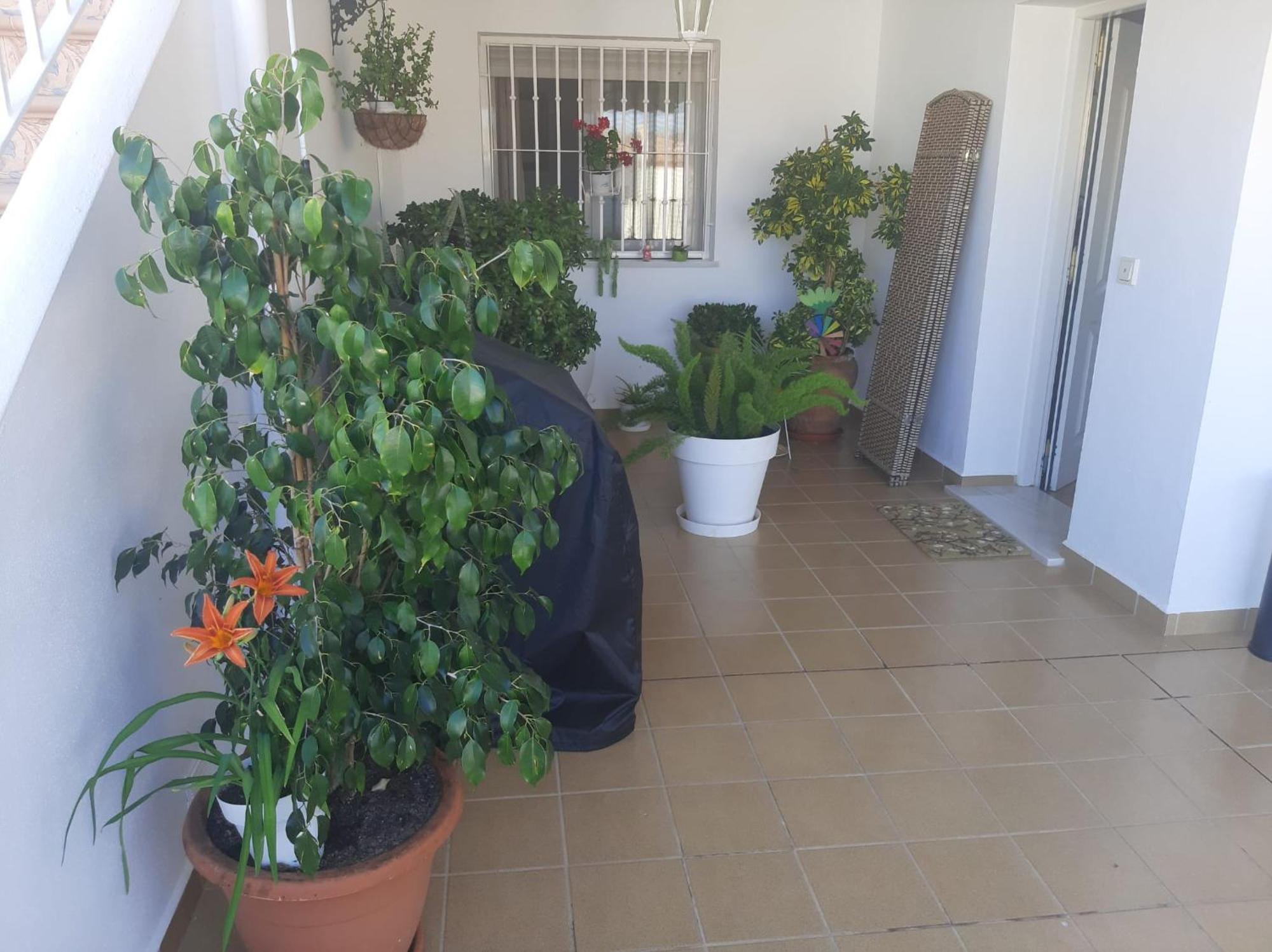 Las Gemelas De Terreros 1 San Juan de los Terreros 外观 照片